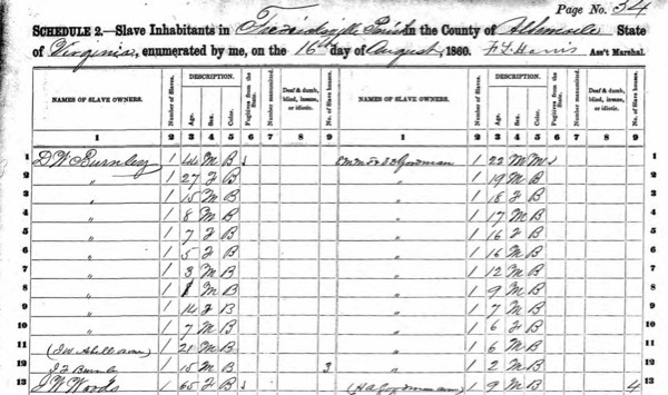 DW Burnley Slave Census 1860